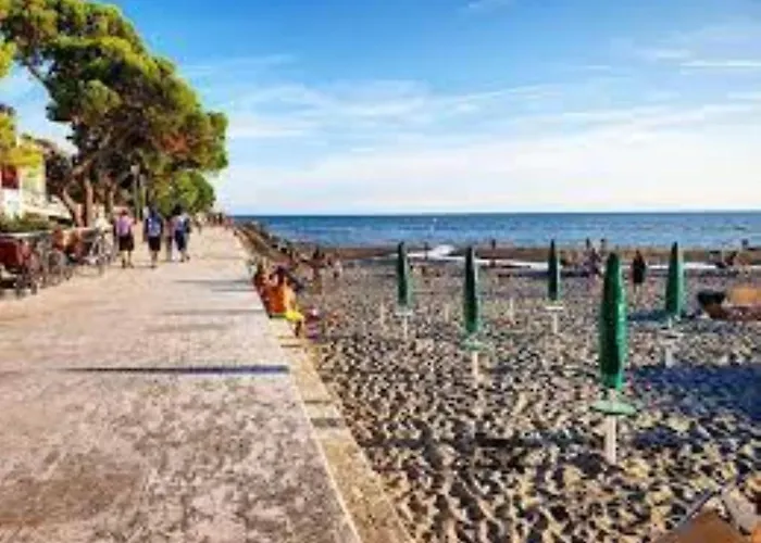 Modern Flat With Balcony At Pineta דירה